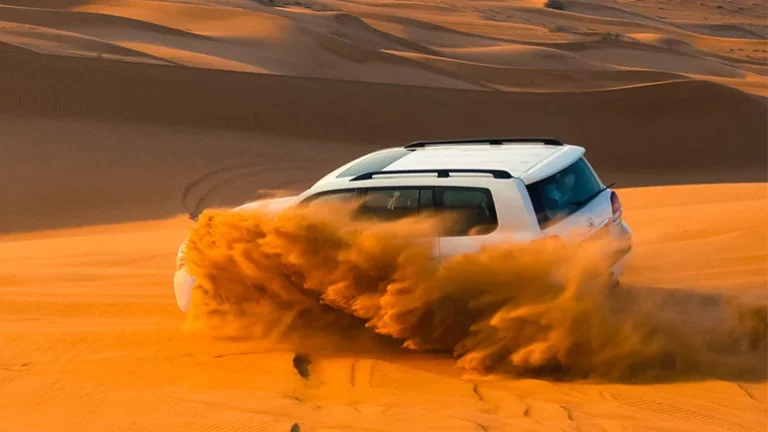 Dubai Evening Safari