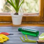 Eco-Friendly Render Cleaning Solutions