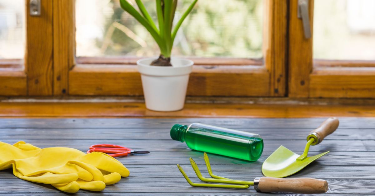 Eco-Friendly Render Cleaning Solutions